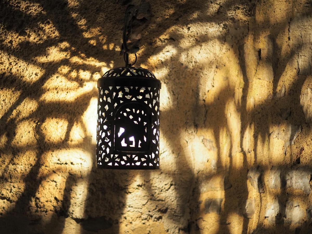 Chambres D'Hotes Le Secret Du Chat Cordes-sur-Ciel Exteriér fotografie